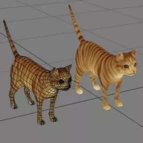 Orange Tabby Cat 3d model