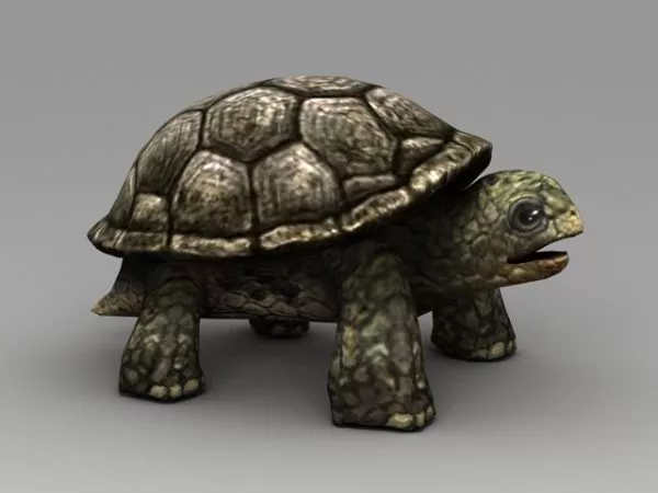 Under Water 3d model