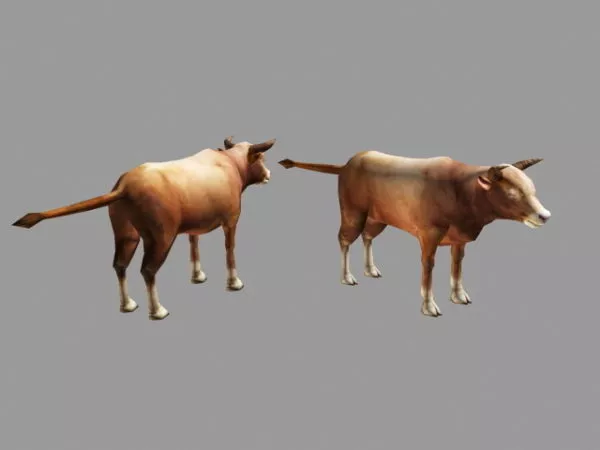 Beef Cattle 3d model Beef Cattle 3d model