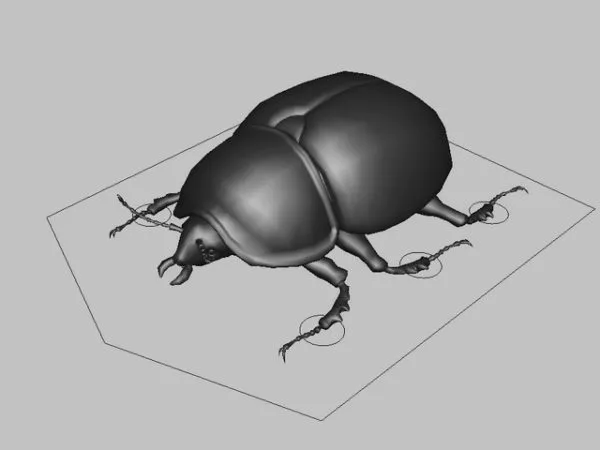 Black Beetle Rig 3d model Black Beetle Rig 3d model