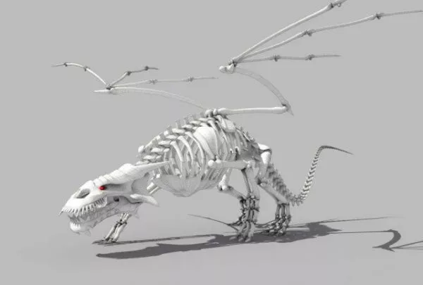 Dragon Skeleton 3d model Dragon Skeleton 3d model