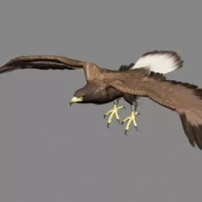 Golden Eagle Animation 3d model