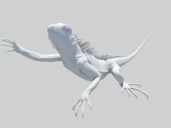 White Lizard Crawling 3d model