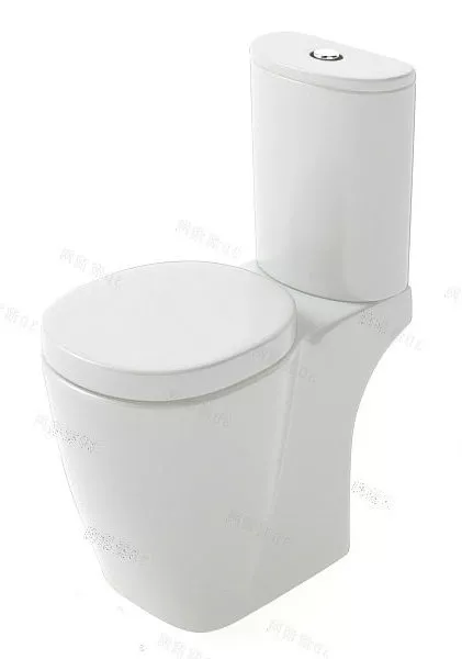 Cantilever Toilet Lavatory With Wooden Cap 3d model