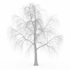 Winter Tree 3d model