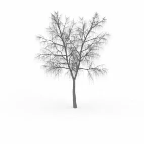 Winter Tree 3d model