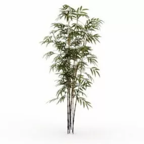 Bamboo Plants 3d model