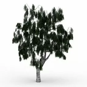 Russian Birch 3d model