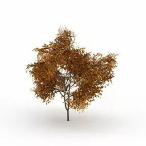 Yellow Tilia Tree 3d model