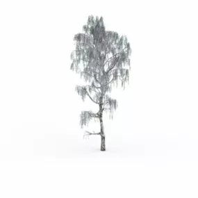 Snow Covered Tree 3d model