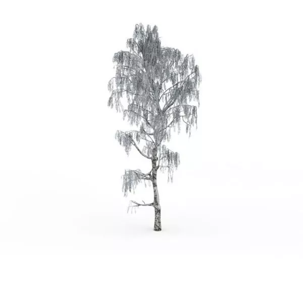 Snow Covered Tree 3d model Snow Covered Tree 3d model