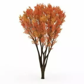 Autumn Tree 3d model