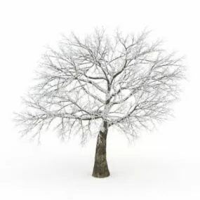 Snow Tree 3d model
