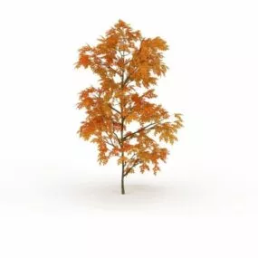 Gold Autumn Maple Tree 3d model