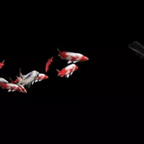 School Of Fish Animation 3d model