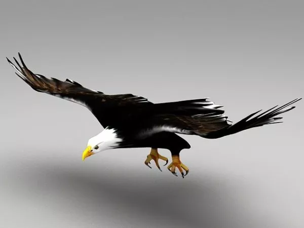 Eagle Sculpture Statue 3d model