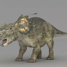 Achelousaurus Dinosaur 3d model