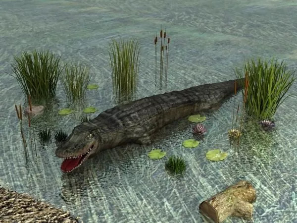River Crocodile 3d model River Crocodile 3d model