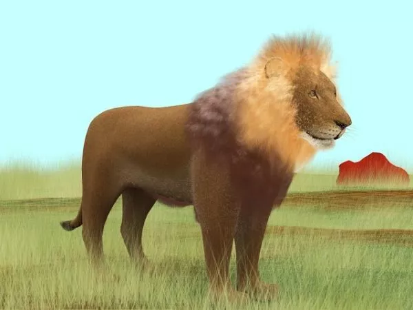 Prairie Lion 3d model Prairie Lion 3d model
