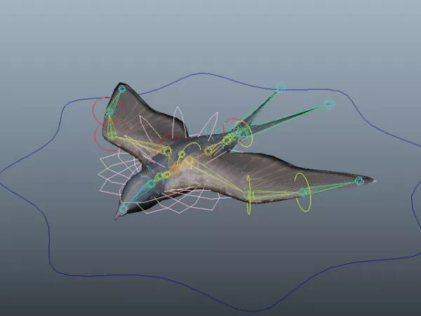 Swallow Bird Rig 3d model Swallow Bird Rig 3d model