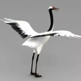 Red-crowned Crane 3d model