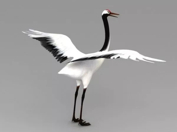 Heavy Crane 3d model