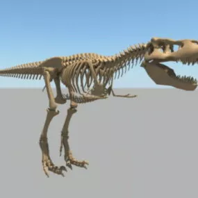 Dinosaur Skeleton 3d model