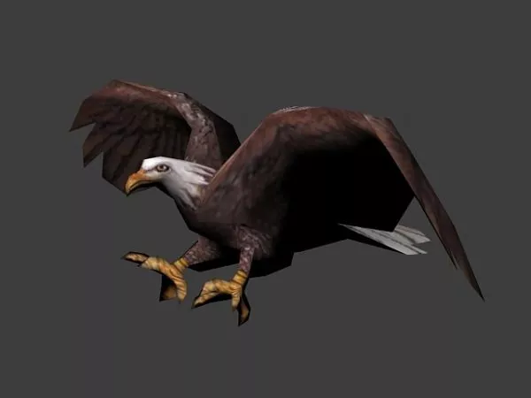 Animated Eagle Flying 3d model Animated Eagle Flying 3d model