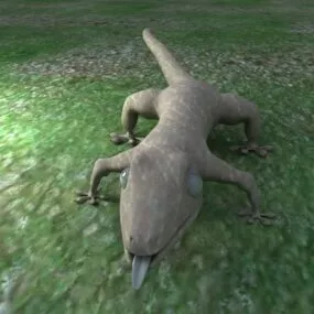 Gecko Lizard 3d model