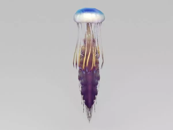 Deep Sea Jellyfish 3d model Deep Sea Jellyfish 3d model