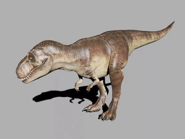 Tyranosaurus Head 3d model