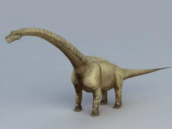 Protoceratops Dinosaur Animation With Rig 3d model