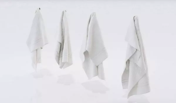 Towel Hanger Sanitary 3d model