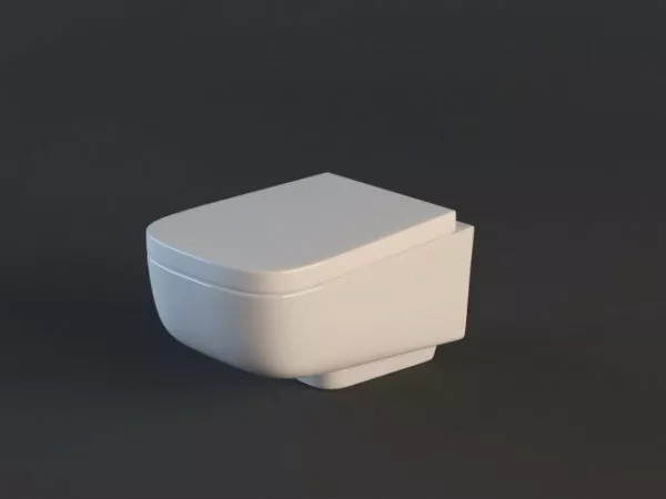 Simple Bidet 3d model