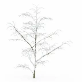 Winter Snow Tree 3d model