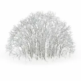 Snow Covered Shrubs 3d model