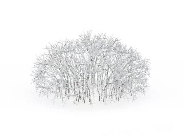 Pretty Snow Covered Shrubs 3d model Pretty Snow Covered Shrubs 3d model
