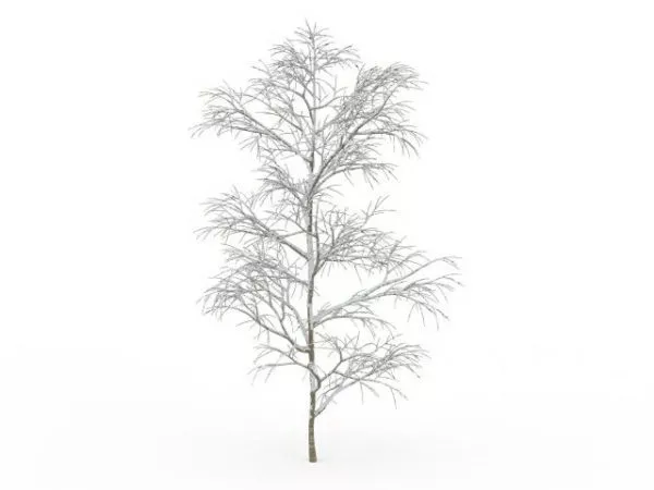 Snow Covered Tree In Winter 3d model Snow Covered Tree In Winter 3d model