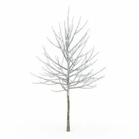 Snow Covered Tree 3d model