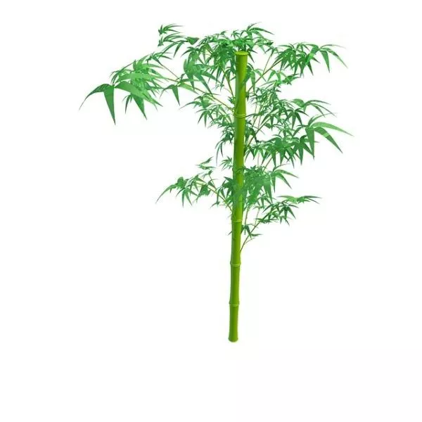 Fence Bamboo Material 3d model
