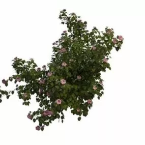 Pink Flowering Shrubs 3d model