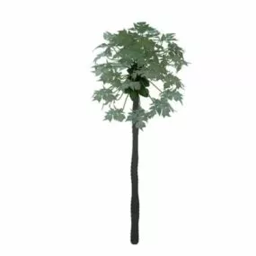 Tree With Fruits 3d model