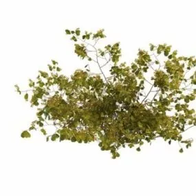Yellow Berry Bushes 3d model