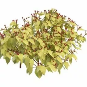 Wild Berry Plant 3d model