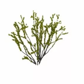 Spring Shrub 3d model