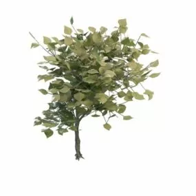 Dwarf Shrubs For Landscaping 3d model