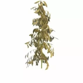 Withered Tree Branch 3d model