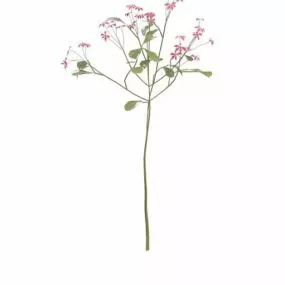 Red Flowering Herb Plant 3d model