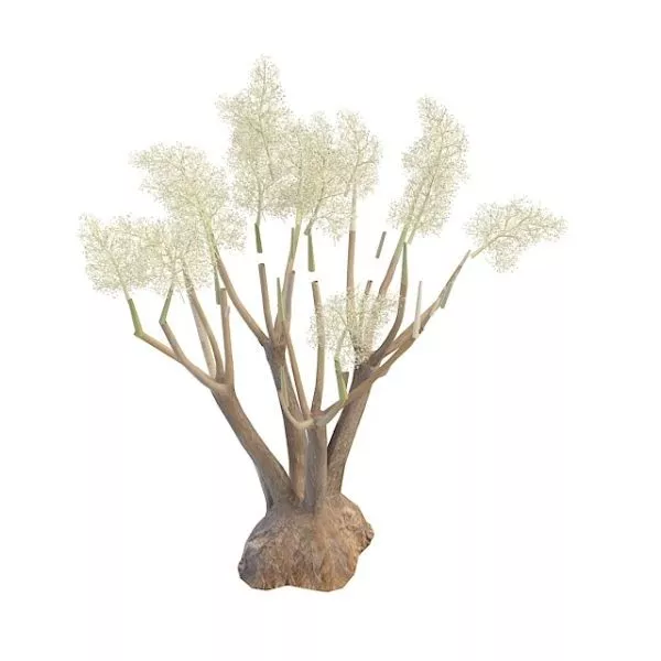 Spring Flowering Tree 3d model Spring Flowering Tree 3d model