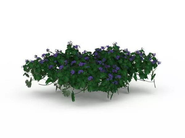 Purple Flowering Shrubs 3d model Purple Flowering Shrubs 3d model